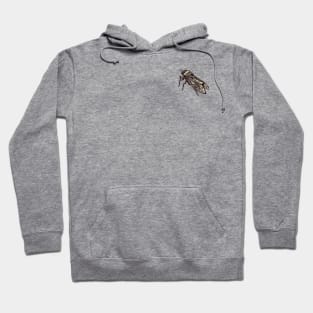 CICADA Hoodie